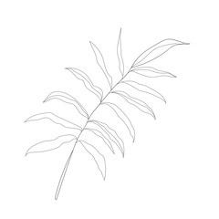 Minimalism line drawing. Flower vector one line art. Botanical Sketch Vector Illustration. Nature vector Line drawing.