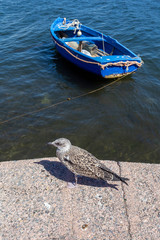 Fishing boats in the port of Sant'Antioco, Sardinia