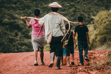 VIDA EN EL CAMPO