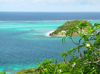 Île tropicale de l'archipel des grenadines bordée par une lagune et ses eaux turquoises agrémentée de fleurs tropicales 