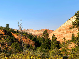 zion national park