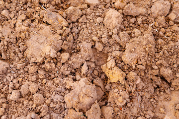 Tropical laterite soil background.