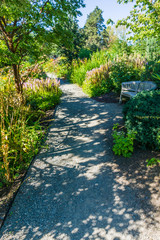 Botanical Garden Path 4