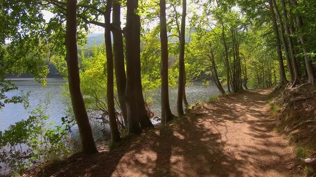 Small path near lake with back light in a sunny summer day on the beech forest in mountain Montseny in Spain