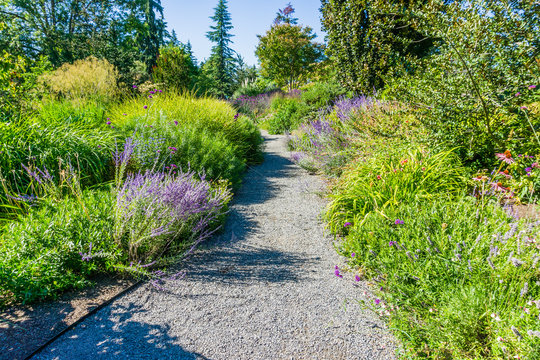 Botanical Garden Path 5