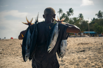 Zwarte Afrikaanse man draagt tonijnvissen op de straatvismarkt in het dorp Nungwi in de ochtend na het vissen