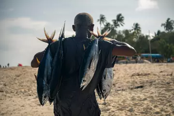Tableaux ronds sur aluminium Plage de Nungwi, Tanzanie L& 39 homme noir africain porte des thons sur le marché aux poissons de rue dans le village de Nungwi le matin après la pêche