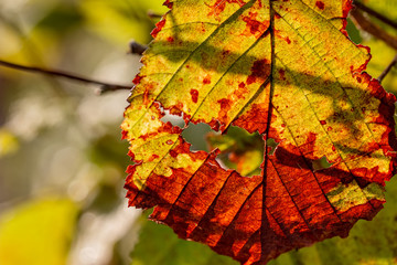 Yellow-red sheet with a hole