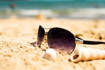 Sunglasses lying on a tropical sandy beach with seashells and stones. Sunglasses on the beach. Nice sea view. Vacation, travel concept