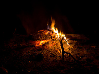 Campfire fire in the night