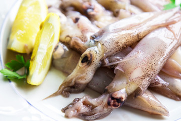 fresh squid with lemon and parsley on the plate