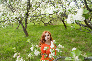 Portrait of a red-haired girl walking in an apple orchard in an bright dress

