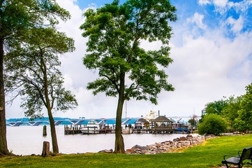 On the Potomac River within eyesight of Washington, DC, Alexandria, VA is nationally recognized for...