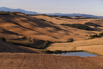Tuscany landscape, around the city of Siena