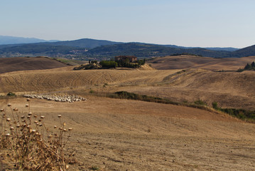 Tuscany landscape, around the city of Siena