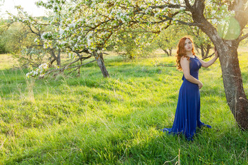 Fototapeta na wymiar Portrait of a red-haired girl walking in an apple orchard in an blue dress