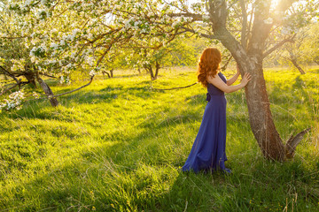 Portrait of a red-haired girl walking in an apple orchard in an blue dress