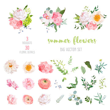 Ranunculus, rose, peony, dahlia, camellia, carnation, orchid, hydrangea flowers and decorative plants big vector collection