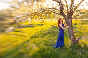 Portrait of a red-haired girl walking in an apple orchard in an blue dress