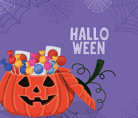 Halloween pumpkin cartoon with candies and spiderwebs design, Holiday and scary theme Vector illustration