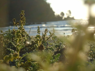 






Las oriilas de la playa 