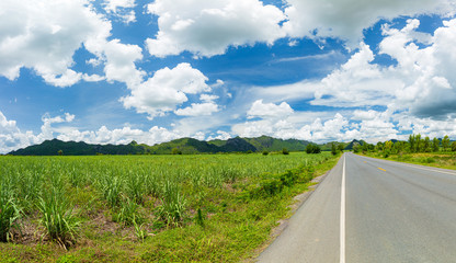 A long local road in a rural area with white cloud and blue sky. The road is surrouded by green fields