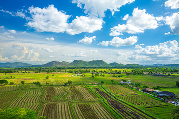 Fototapeta na wymiar Rice Terrace Aerial Shot. Image of beautiful terrace rice field in Chiang Rai Thailand