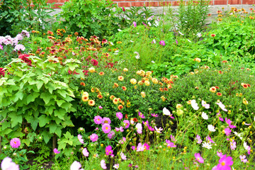 Colorful and multi-colored garden flowerbed with flowers