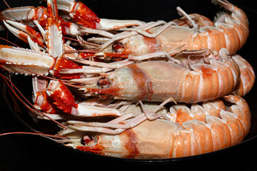 Cigalas frescas.