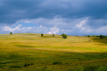 Green meadow and blue sky with trees on a horizon.
