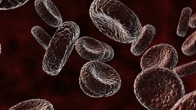 Dead Red blood cells in an artery - 3D animation. Flow inside body, medical human health-care. Shallow depth of field animation.