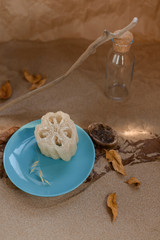 Luffa sponge on a ceramic blue trowel. Background sand and craft paper.
