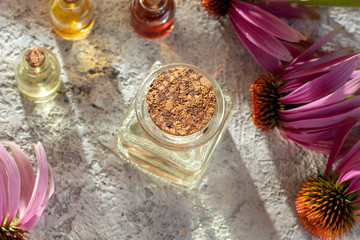 Bottles of essential oil with fresh echinacea flowers