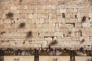 Praying near western wall