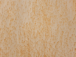 Fototapeta premium The texture of the sheet of iron with the elements of corrosion. External part of the building.