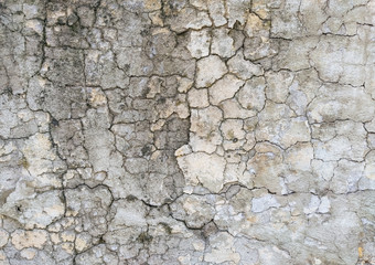 Wall background made of cracks. The texture of gray, dirty, cracked concrete.