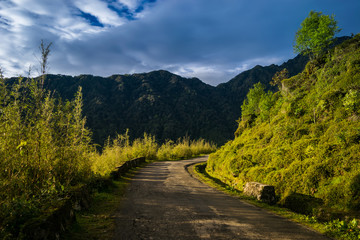 In the soft light of the afternoon sun, the roads and nature of the Himalayan mountains have become more captivating.