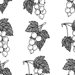 Background of bunches of black currants with leaves. Hand-drawn stylized black and white image isolated on white background. Idea for fabric, packaging, scrapbooking, wallpaper.
