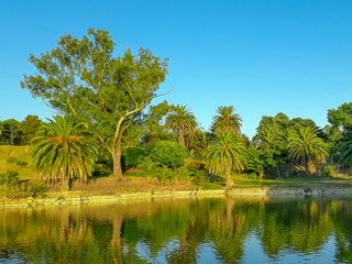 Rodo Park, Montevideo, Uruguay
