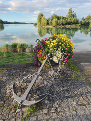 ufer vom forggensee in bayern mit blumenschmuck und anker © Sigtrix