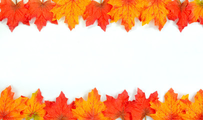Fall leaves background with white empty space in the middle