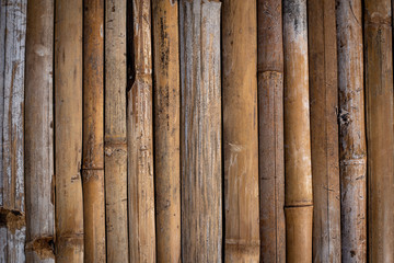 Obraz premium old bamboo fence background texture