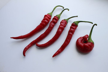 Chili pepper isolated on a white background. Chili hot pepper.