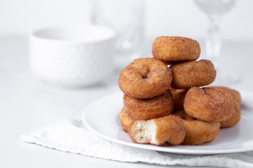 Cinnamon sugar mini donuts