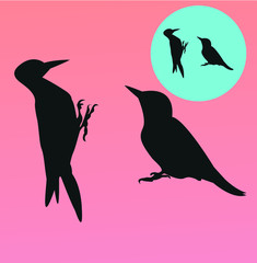 Woodpecker