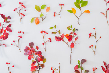 Flat lay pattern with colorful autumn leaves and apples on a white background