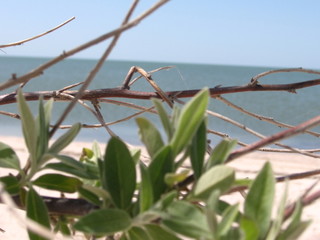 МОРЕ ПУТЕШЕСТВИЕ ПРИРОДА