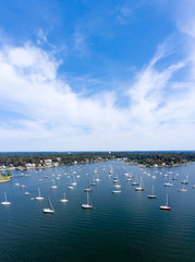 Yachts floating along Marine shore in summer day