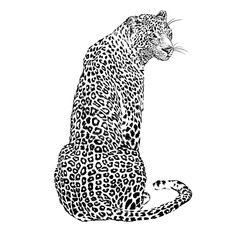 Japanese style leopard © Lana