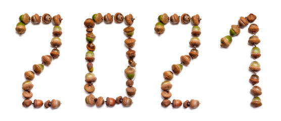 2021. Oak Acorn Numbers